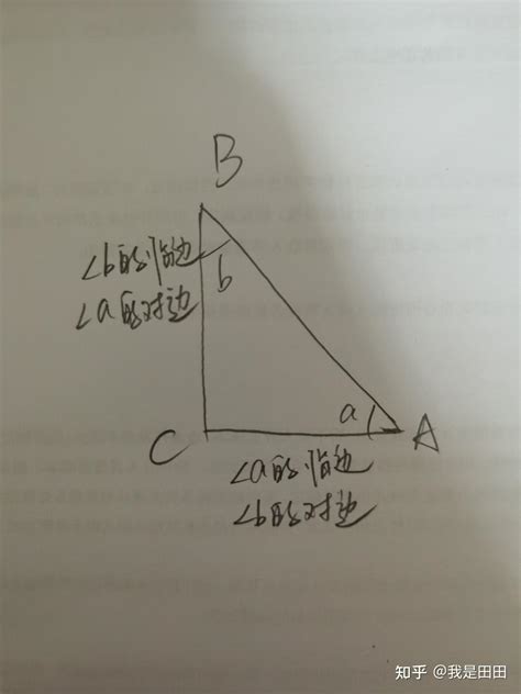 三角形有幾個|直角三角形